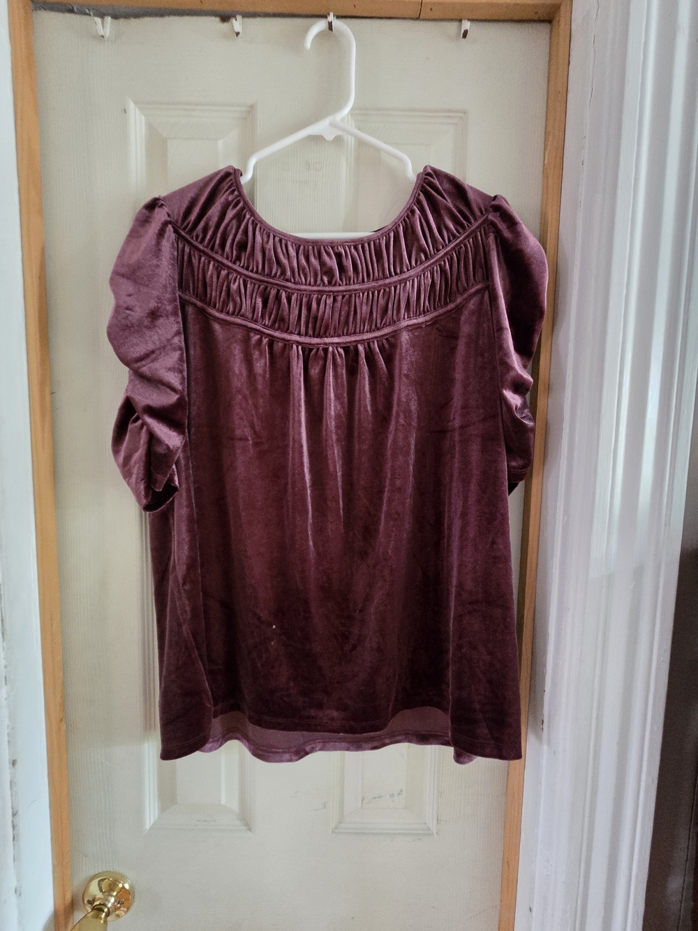 LOFT Velvet Short Sleeve Top in Plum
